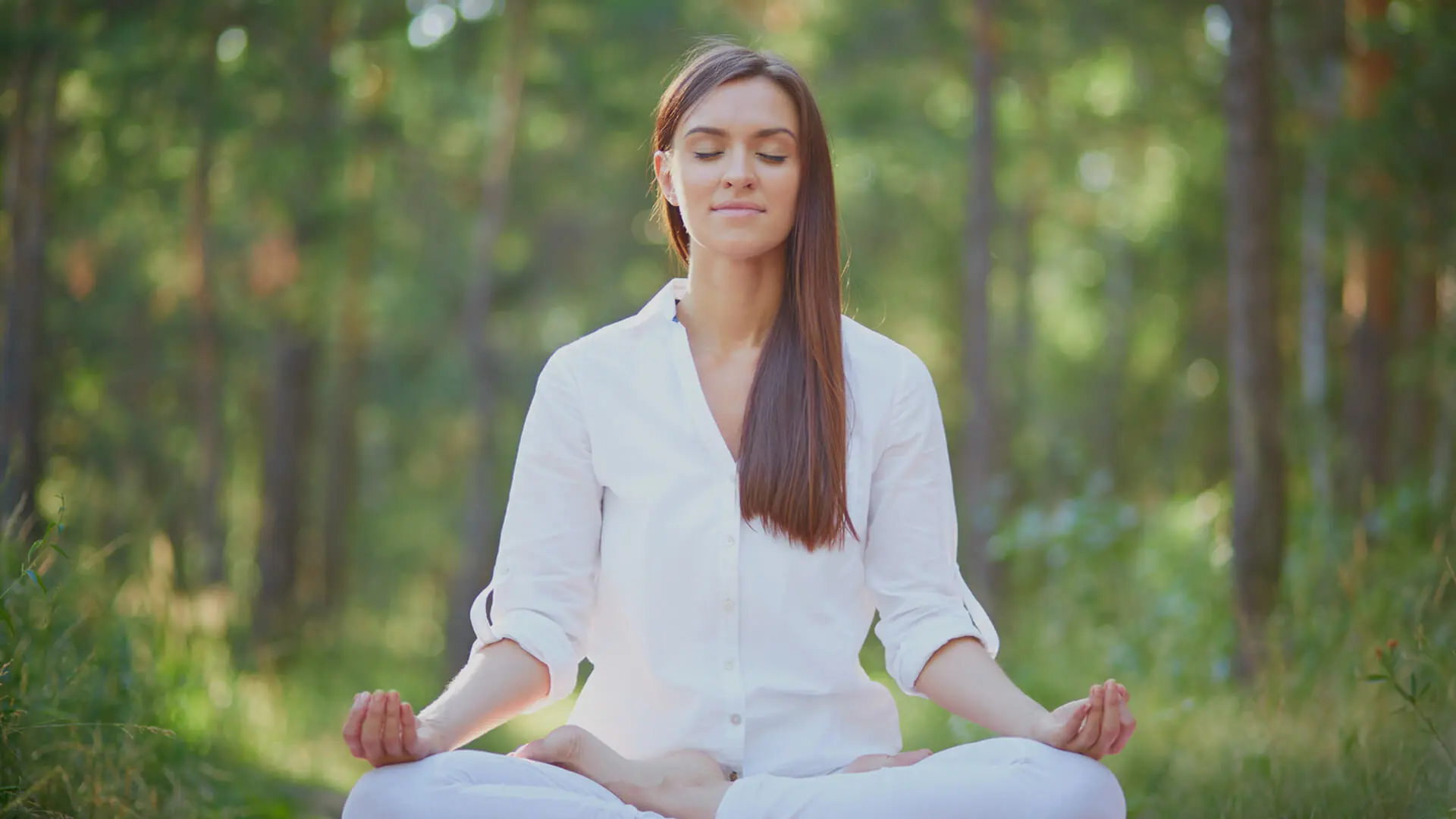 Understanding the principles behind Dr. Mercola’s approach to holistic well-being