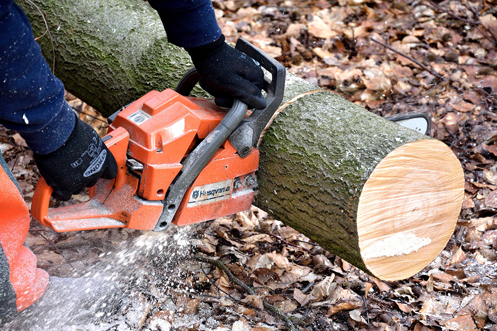 Stump Grinding Stockport